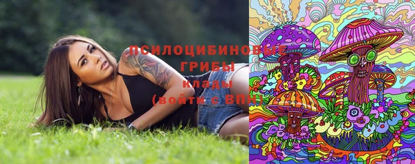 скорость Алзамай